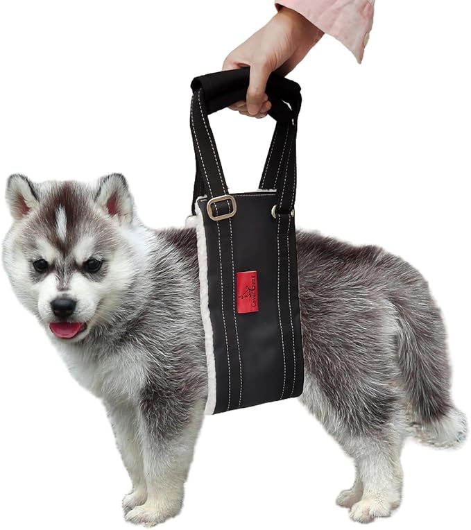 Leather Dog Lift Harness for Small Dogs,Doggie Walking Sling,Puppy Belly Support Strap,Pet Assist Harness for Senior,Injured,Disabled Dogs After ACL Surgery S