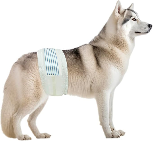BV Dog Diapers Male Large (Waist 21-26in) Super Absorbent - 50 Count Disposable - Doggie Diapers with Wetness Indicator - Adjustable Male Dog Wraps - Ideal for Incontinence/Training