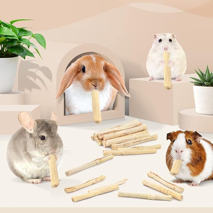Bissap 700g/1.5Ib Sweet Bamboo Chew Sticks for Rabbits, Bunny Chewing Sticks for Rabbits Hamster Chinchilla Guinea Pigs Rabbit Small Animals Natural Treats Teeth Grinding Toys
