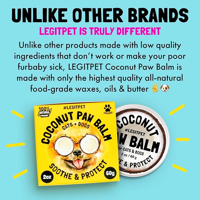Coconut Paw Balm for Dogs by legitpet