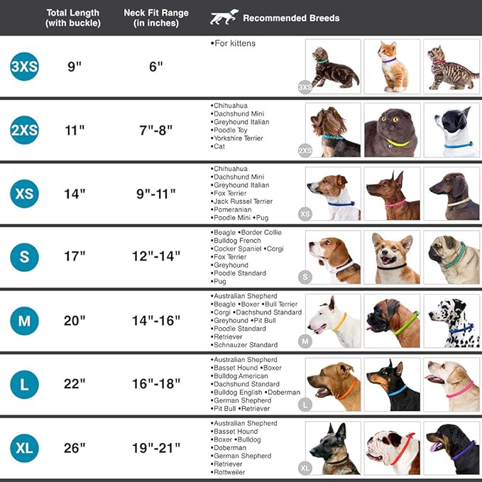 CollarDirect Rolled Leather Dog Collar, Soft Padded Round Puppy Collar, Handmade Genuine Leather Collar Dog Small Large Cat Collars 13 Colors (13-16 Inch, Light Blue Textured)