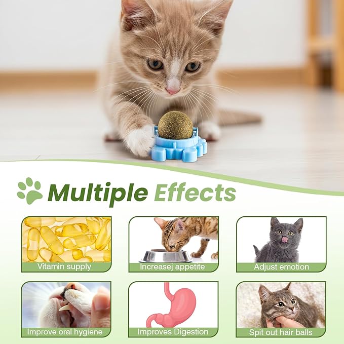 Catnip Toys 4 Pack Catnip Balls Catnip Wall Ball 360° Rotatable Chewing Teeth Cleaning Edible Cat Interactive Toys Indoor Play with Cats Wall Anxiety Relief Cat Chew Ball