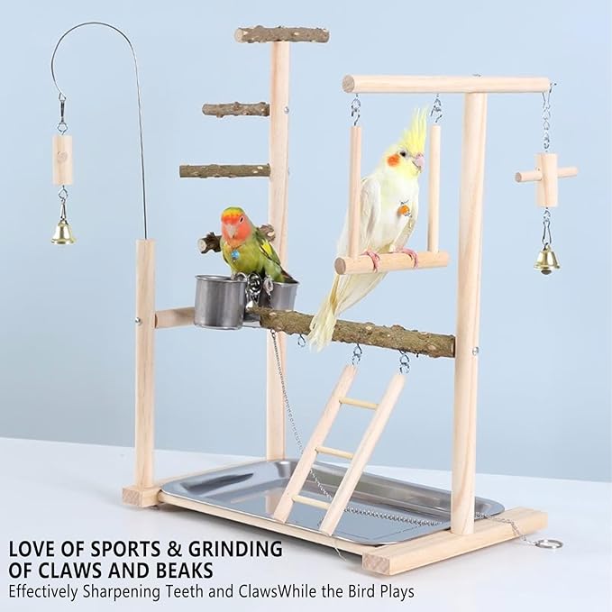 Bird Playground Parrot Playstand Bird Perch Stand Gym Natural Wood Play Stand with Swing Ladder Feeder Cups for Parakeets Cockatiels Lovebirds Conures Budgies