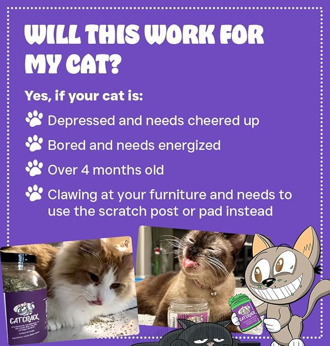 Cat Crack Catnip, Zoomie-Inducing Cat Nip Blend, North American Made & 100% Natural, Safe & Non-Addictive Catnip Treats Used to Supplement Cat Nip Toys, Spray, & Accessories (1 Cup)