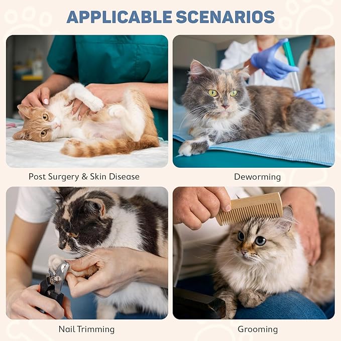 Avont Soft Cat Recovery Cone Collar, Adjustable Lightweight Kitten E-Collar for Small Dogs, Comfortable Neck Donut Stop Licking Scratching After Surgery -Strawberry(M)