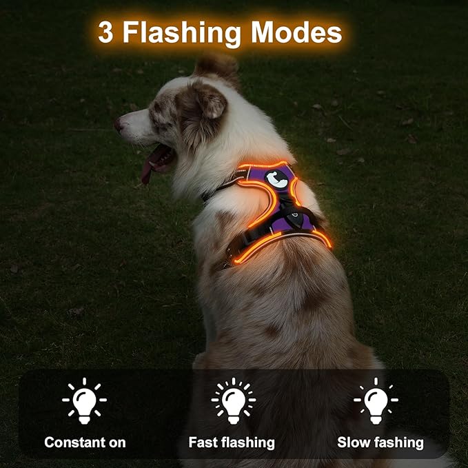 Taglory Light Up Dog Harness, Rechargeable No Pull Dog Vest with 3 Lightning Modes, Reflective Dog Harness with 2 Leash Clips & 4 Adjustable Slide Strips for Small Dogs, Purple-Orange, S