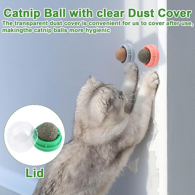 CCINEE 6PCS Catnip Balls for Cats Wall Catnip Toys Edible Cat Toys for Cat Lick Safe Healthy Kitten Chew Toys Teeth Cleaning Dental Cat Toys