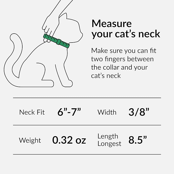 CollarDirect Leather Cat Collar with Bell - Kitten Collar, Small and Big Cat Strap for Boy Cats, Girl Cats with Safety Elastic Strap (Neck Fit 6"-7", Red)