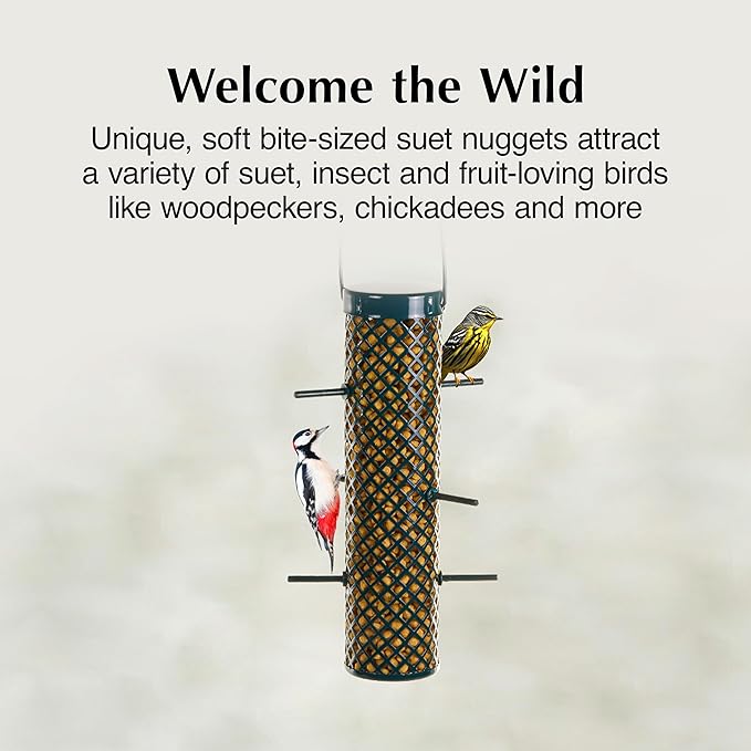 C&S Sunflower Suet Nuggets, Suet Nuggets for Wild Birds, 8 Lbs