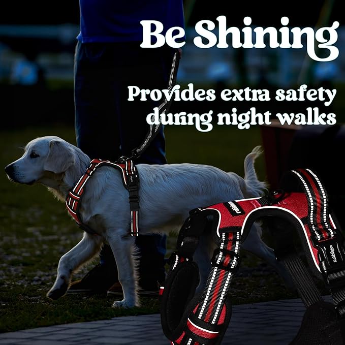 rabbitgoo Dog Harness for Large, No Pull Pet Harness with 3 Buckles, Adjustable Soft Padded Vest with Control Handle, Walking Reflective Pet Vest for Large Dogs, Red, L