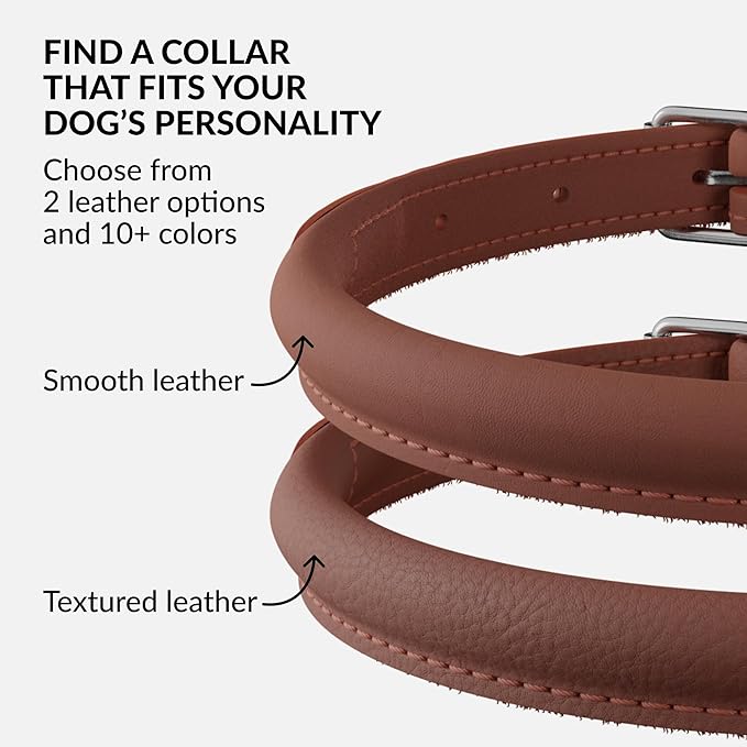 CollarDirect Rolled Leather Dog Collar, Soft Padded Round Puppy Collar, Handmade Genuine Leather Collar Dog Small Large Cat Collars 13 Colors (8-11 Inch, Cinnamon Smooth)