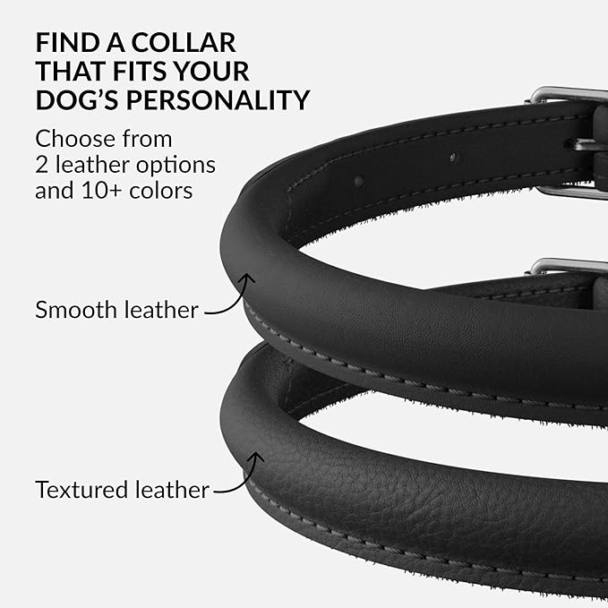 CollarDirect Rolled Leather Dog Collar, Soft Padded Round Puppy Collar, Handmade Genuine Leather Collar Dog Small Large Cat Collars 13 Colors (6 Inch, Black Smooth)