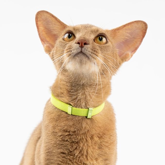 Safety Cat Collar - U.S. IDA Gold Awarding Design, Stretch Elastic Quick Release, Non Breakaway - Light Weight for Kitten, Neck Fit 5.9'-11.8' for All Small Large Cat,S(Armor Blue)