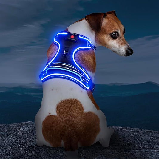 Light Up Dog Harness, No Pull LED Dog Harness with Handle, Rechargeable Lighted Safety Vest for Small Medium Large Dogs, Adjustable Soft Dog Lights for Night Walking