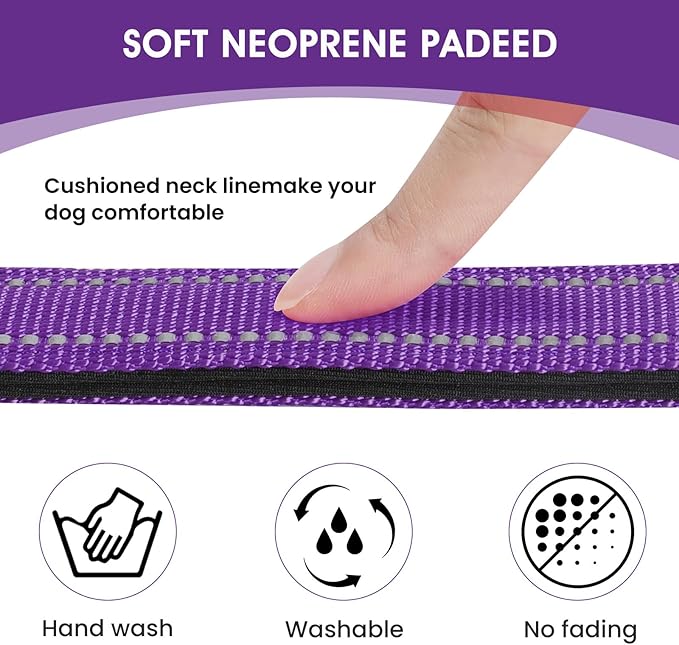 Reflective Dog Collar Padded with Soft Neoprene Breathable Quick Release Basic Dog Collars for Large Dogs Purple Girl