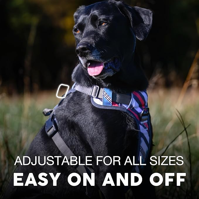 Embark Adventure Dog Harness, Reflective Trim XL Dog Harness for Extra Large Dogs No Pull - Military Grade Nylon, 2 Leash Clips & Gel Lined Handle.