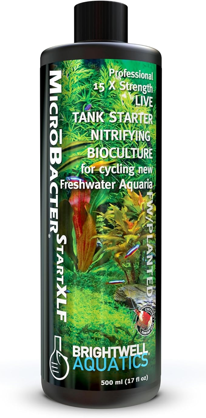 Brightwell Aquatics MicroBacter Start XLF - Concentrated Freshwater Nitrifying Bacteria - Quick Start Fish Tank Starter, Lift Microbe Levels & Water Filtering - Aquarium Water Treatments, 16.9 fl oz