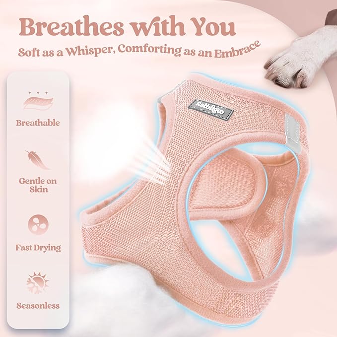 rabbitgoo Dog Harness Small Sized and Leash Set, Step in Soft Light Puppy Vest, Breathable Mesh Pet Harness, Reflective for Safe Outdoor Walking, Pink S