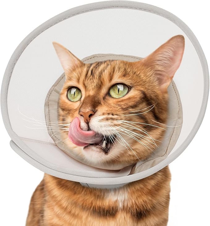 Cat Cone Collar Soft: Comfortable Waterproof Mesh Recovery Cone After Surgery to Stop Licking and Scratch, Alternative to Plastic Elizabeth Head/Neck Cone