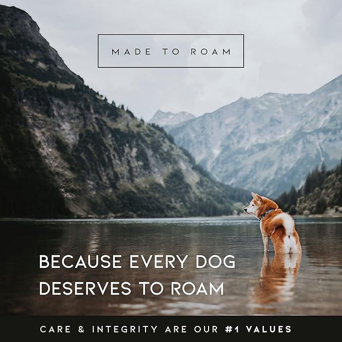 MADE TO ROAM Premium Explorer Harness - Y-Shaped Dog Harness with Adjustable Durable Nylon, Soft Padding, Metal Buckles and Leather Handle for Small, Medium, Large Dogs (Virginia Mountains, Size 6)