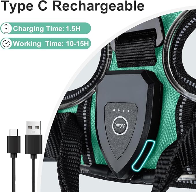 Taglory Light Up Dog Harness, Rechargeable No Pull Dog Vest with 3 Lightning Modes, Reflective Dog Harness with 2 Leash Clips & 4 Adjustable Slide Strips for Large Dogs, Turquoise-Green, L