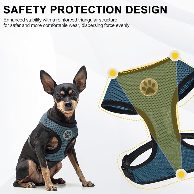 BINGPET Small Dog Harness - Breathable Mesh Puppy Cat Harnesses - No Pull Adjustable Dog Harness Dog Vest Harness for Small and Medium Dogs