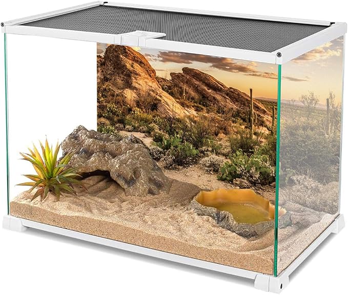 AWERT Reptile Habitat Background Blue Sky Oasis Cactus Sun and Desert Terrarium Background 30x12 inches Polyester Background