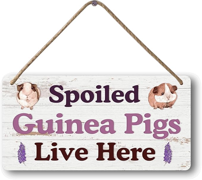 Big Hamster Ball & Guinea Pig Hideout - Stuffed Animals & Accessories for Guinea Pig Cage - 12x6 In Wooden Sign