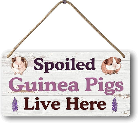 Big Hamster Ball & Guinea Pig Hideout - Stuffed Animals & Accessories for Guinea Pig Cage - 12x6 In Wooden Sign