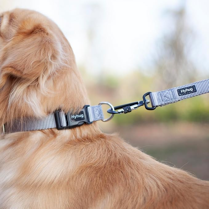 Hyhug Pets Solid Color Classic Regular Heavy Duty Basic Collar for Small Dogs, Unique Design Adjustment Triglide Slide (Buckle) Can Attached Name Tag Accessories. (Small, Sleet Gray)