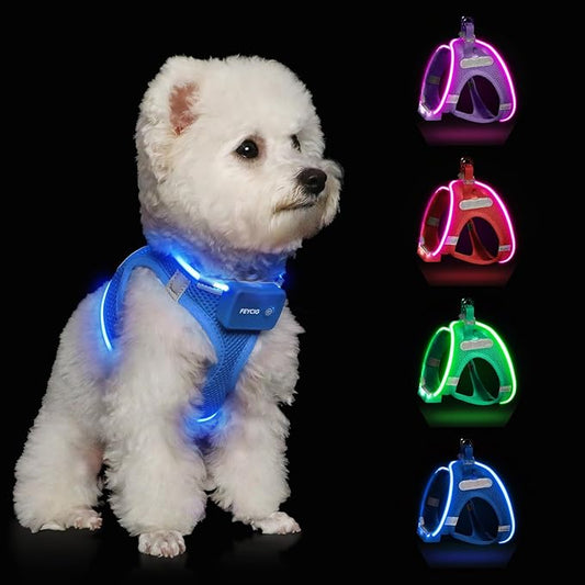 Light Up Dog Harness,Rechargeable LED Dog Harness for Small Medium Large Dogs,Reflective Lighted Safety Vest for Night Walking & Camping,Lightweight & Adjustable,Sky Blue,M