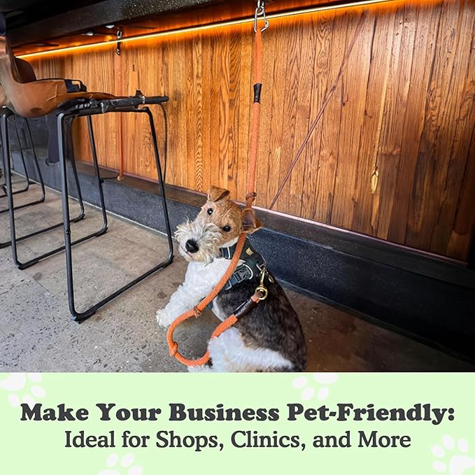 Canine Hitch- Secure Dog Leash Parking Wall Slim Hook with Clip 2 Pack - Tie Out Stainless Steel & ABS Mounting Plate for Strength - Practical Lead Management for Home & Business