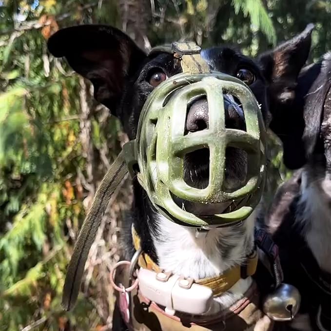 Mayerzon Dog Muzzle, Breathable Basket Muzzles for Small, Medium, Large and X-Large Aggressive Dogs Beagle German Shepherd Doberman, Cage Mouth Guard Stop Biting Chewing for Grooming Training