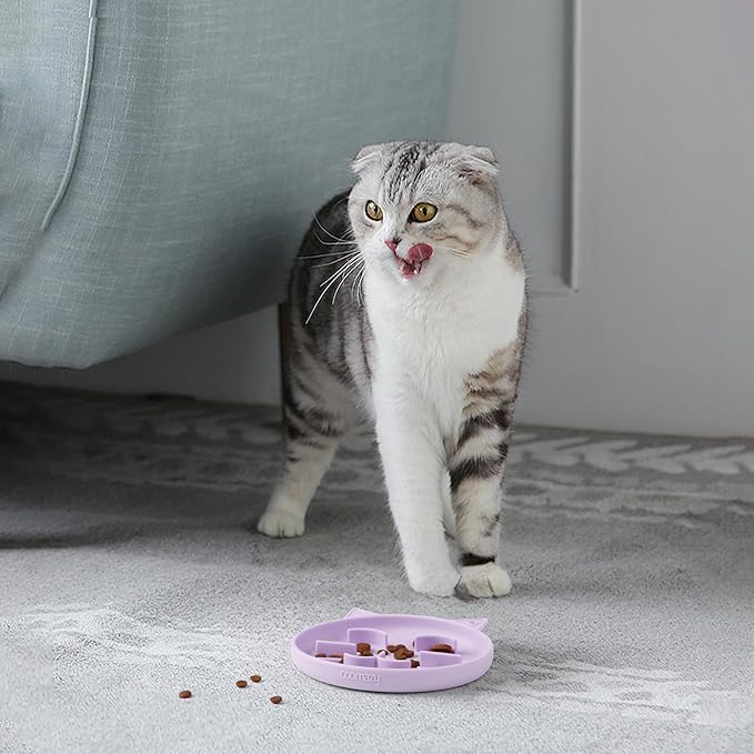 Coomazy Silicone Slow Feeder Dog Cat Bowls, Interactive Puzzle Toy for Pets Dry/Wet Food Training, Keeps Dogs Cats Busy, Prevents Puppy Kitty Overeating (Purple, 0.8 Cup)