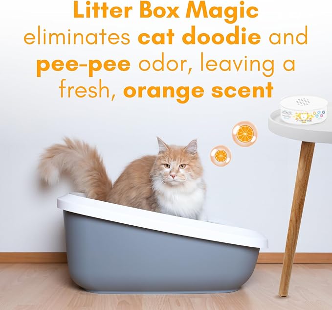 Cat Litter Deodorizer Jar (Orange Scent, 16 Oz, Pack of 1) - Cat Litter Odor Control Gel In A Jar - Cat Litter Box Pet Air Freshener - Litter Odor Eliminator to Freshen Air