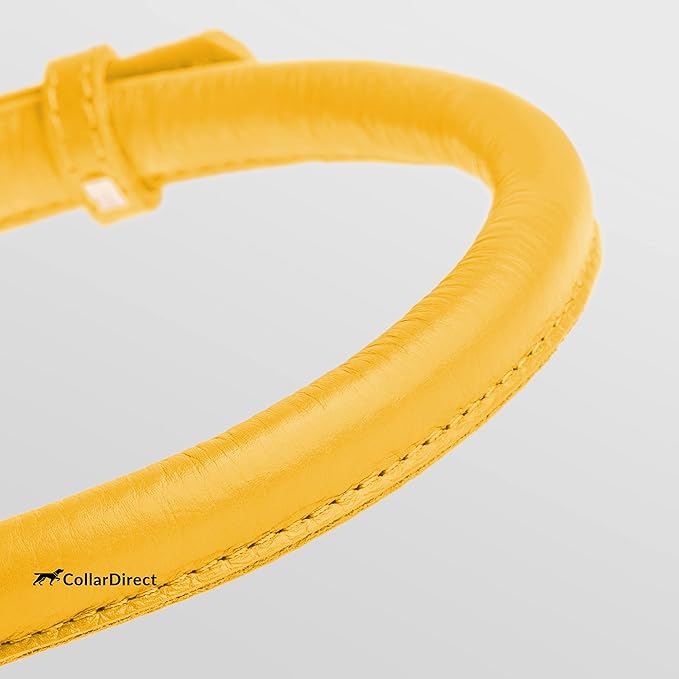 CollarDirect Rolled Leather Dog Collar, Soft Padded Round Puppy Collar, Handmade Genuine Leather Collar Dog Small Large Cat Collars 13 Colors (15-19 Inch, Yellow Textured)