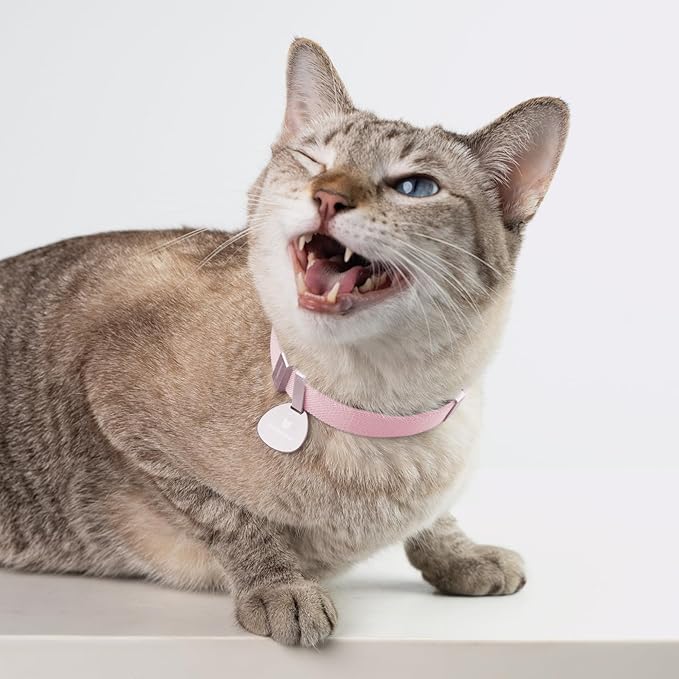 Safety Cat Collar Pro - U.S. IDA Gold Awarding Design, Elastic Quick Release Cat Collar with Buckle Non Breakaway - Lightweight for Kitten All Small Large Cats (Linen, S 5.9-11.8")