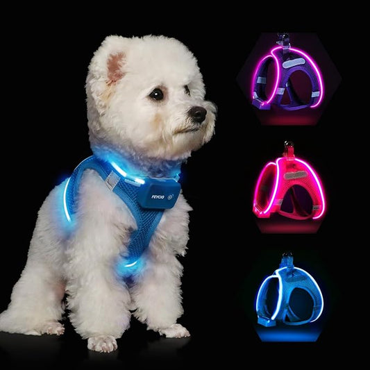 Light Up Dog Harness,Rechargeable LED Dog Harness for Small Medium Large Dogs,Reflective Lighted Safety Vest for Night Walking & Camping,Lightweight & Adjustable,Blue,XS