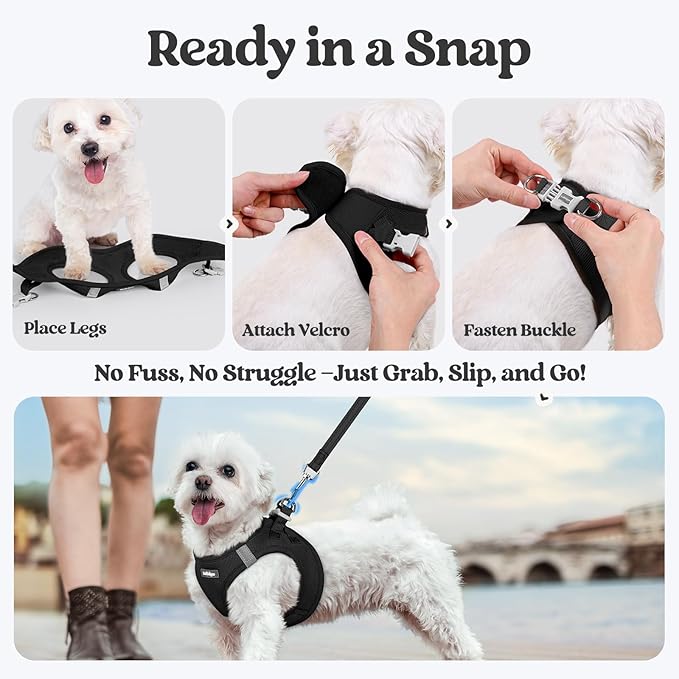 rabbitgoo Dog Harness Small Sized and Leash Set, Step in Soft Light Puppy Vest, Breathable Mesh Pet Harness, Reflective for Safe Easy Walking, Black XXS