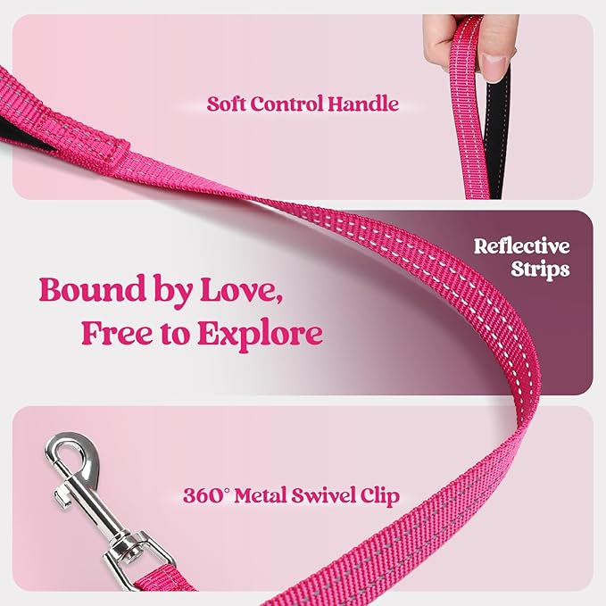 rabbitgoo Dog Harness Small Sized and Leash Set, Step in Soft Light Puppy Vest, Breathable Mesh Pet Harness, Reflective for Safe Easy Walking, Rosa Red XXXS