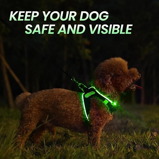 PceoTllar Light Up Dog Harness, LED No Pull Reflective Dog Harness, Flashing Lighted for Night Walking - Small/Medium, (Black Green,s)