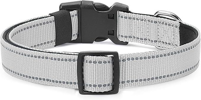 Reflective Dog Collar Padded with Soft Neoprene Breathable Quick Release Basic Dog Collars for Puppy Small Dogs Girl Boy Xs Silver
