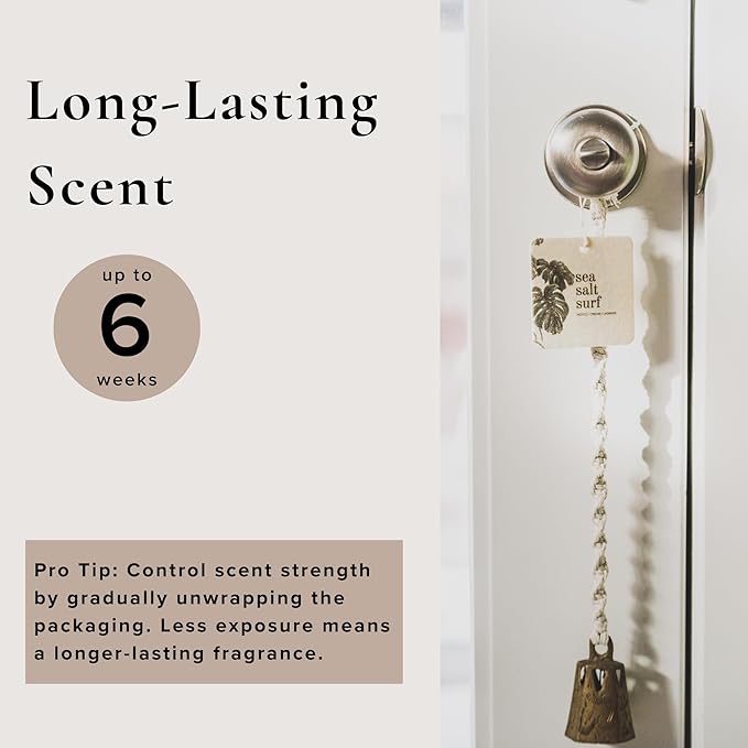 Broken Top Botanical Car Air Freshener Variety Pack, 6 Pack (2 Coconut Sandalwood, 2 Saguaro Cactus, 2 Sea Salt Surf)