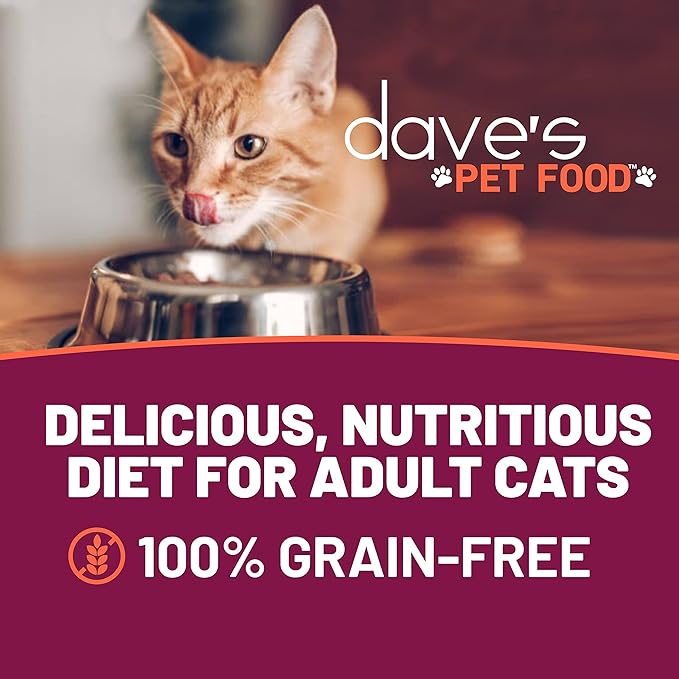 Dave's Pet Food Grain Free Wet Cat Food Gravy (Tuna & Shrimp Dinner in Gravy), Naturally Healthy Canned, Added Vitamins, 5.5 oz Cans (24 Pack)