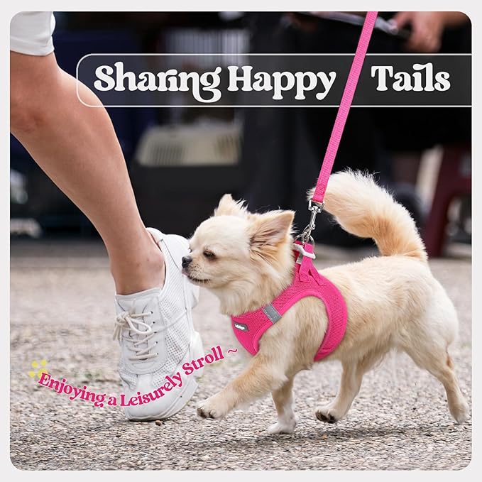 rabbitgoo Dog Harness Medium Sized and Leash Set, Step in Soft Light Puppy Vest, Breathable Mesh Pet Harness, Reflective for Safe Easy Walking, Rosa Red XXL