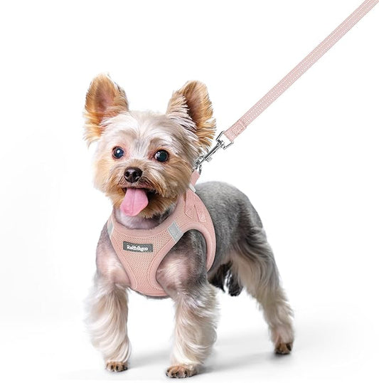 rabbitgoo Dog Harness Small Sized and Leash Set, Step in Soft Light Puppy Vest, Breathable Mesh Pet Harness, Reflective for Safe Outdoor Walking, Pink XS