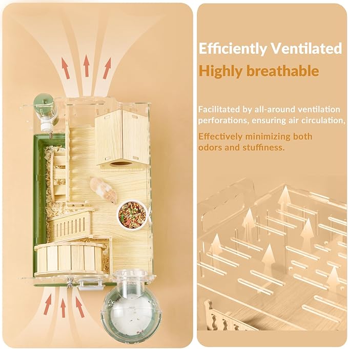 Cycodo 8 in 1 Acrylic Hamster Cage,2-Tier Dwarf Hamster Cage with Wooden Wheel & Hideout,Small Hamster Habitat with Accessories,Clear Pet Mice House(Green,14" L*10" W*11" H)