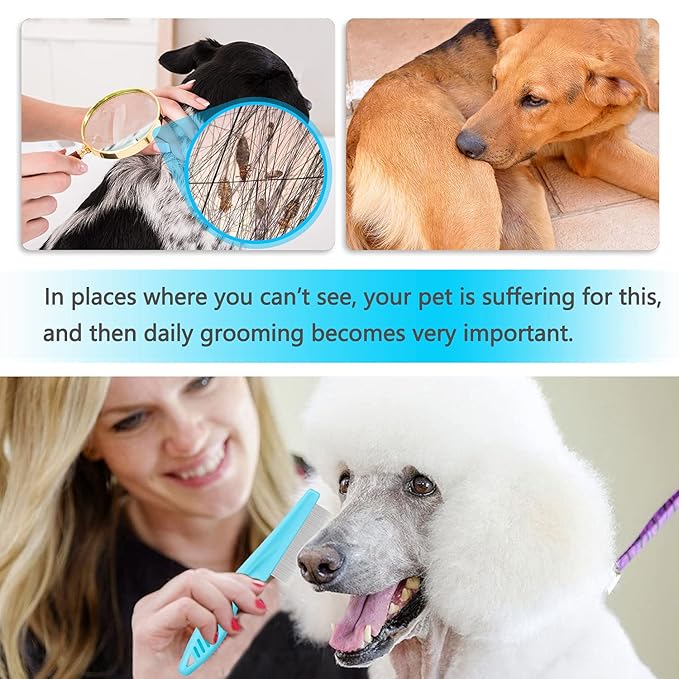 Cat & Dog Grooming Set - Fine Tooth Comb for Removing Dandruff Flakes & Hair (Blue)