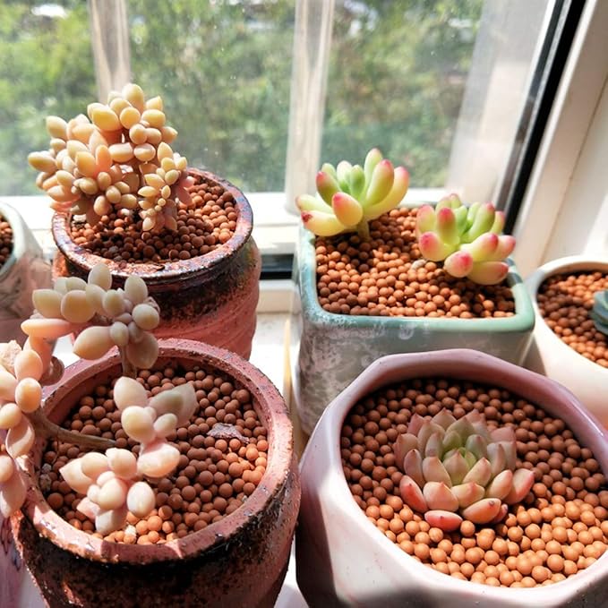 Clay Pebbles Gardening Ceramsite Orchid Hydroponic Grow Media Clay Rocks Drainage Water Purification Ceramsite Decor Cultivation Soil Stone Horticultural Grade for Soil Hydroponics Aquaponics 2.2lb