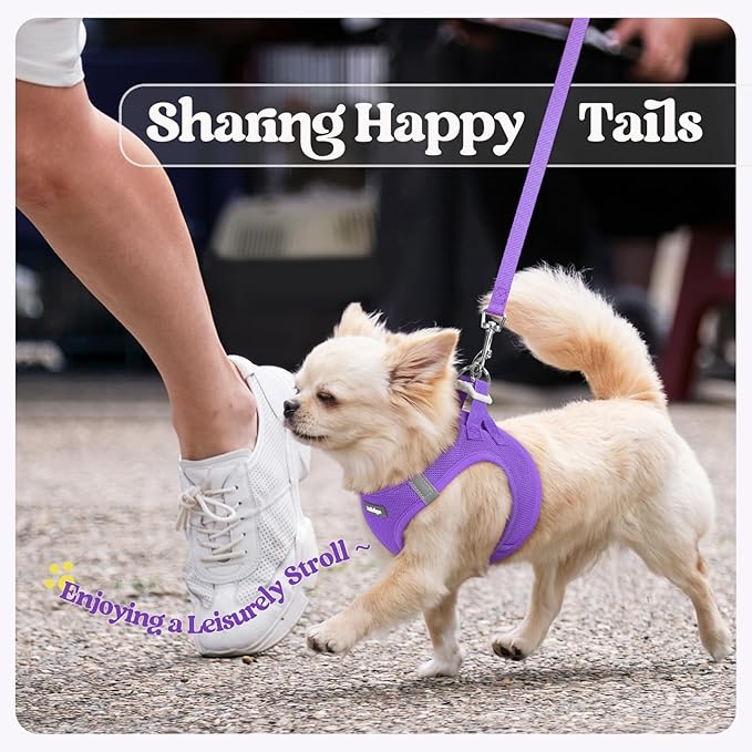 rabbitgoo Dog Harness Small Sized and Leash Set, Step in Soft Light Puppy Vest, Breathable Mesh Pet Harness, Reflective for Outdoor Safe Walking, Purple XXL